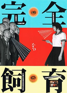 密室调教：欲望的囚禁与绽放