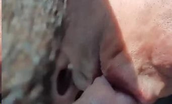DILJ-607 这家伙准备在户外晒太阳吸食动物